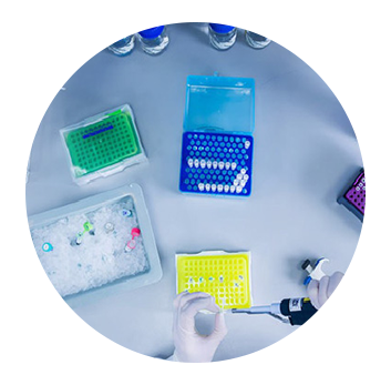 什么人需要儲存免疫細胞 什么人需要儲存免疫細胞