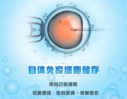 免疫細胞儲存-給生命做一個備份! 