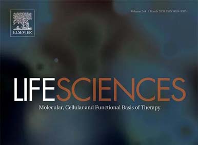 簡訊丨銀豐生物馬賀然博士團隊在SCI期刊《Life Sciences》上發表關于神經干細胞外泌體的科研成果