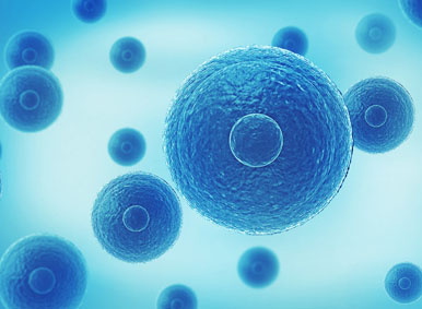 CAR-T的前世今生(三)丨CAR-T細胞治療的副作用及應對策略