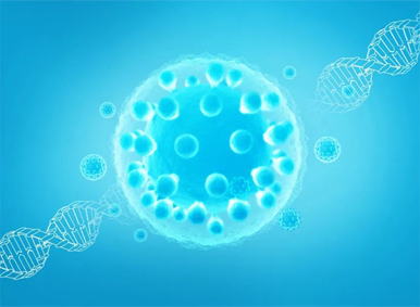 GVHD的獨白——遇上間充質干細胞的那些事兒