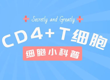 隱秘而偉大：CD 4+T細胞