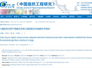 熱點簡訊丨齊魯細胞研發部文章《人脂肪間充質干細胞無支架三維凝膠修復豬膝關節損傷》發表中文核心期刊