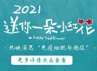 《送你一朵小紅花》熱映背后，窺見生命的思考：癌癥真的是不治之癥嗎？