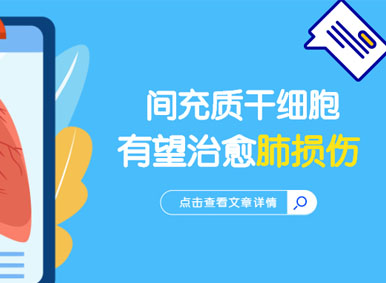科普日談丨間充質干細胞有望治愈肺損傷
