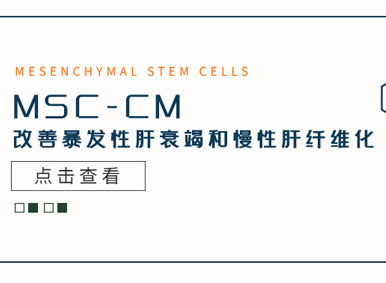 科普日談丨 MSC-CM改善暴發(fā)性肝衰竭和慢性肝纖維化