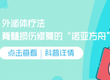 科普日談丨外泌體療法：脊髓損傷修復(fù)的“諾亞方舟”