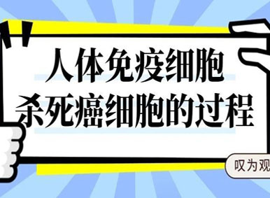 動圖丨人體免疫細(xì)胞殺死癌細(xì)胞的過程真是太帥了! 嘆為觀止! 動圖丨人體免疫細(xì)胞殺死癌細(xì)胞的過程真是太帥了! 嘆為觀止!