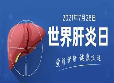 世界肝炎日丨干細(xì)胞療法或為干預(yù)肝炎提供新思路 世界肝炎日丨干細(xì)胞療法或為干預(yù)肝炎提供新思路