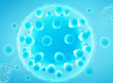 一文了解你的健康守護軍團——干細胞和免疫細胞有何異同？