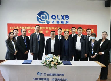 合作共贏丨齊魯細胞與海爾智家濟南分公司達成戰略簽約,共建跨界合作新生態 合作共贏丨齊魯細胞與海爾智家濟南分公司達成戰略簽約,共建跨界合作新生態