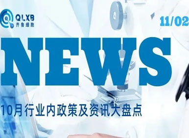 政策匯總丨2021年10月行業(yè)內政策及資訊大盤點