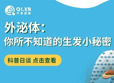科普日談丨外泌體:你所不知道的生發小秘密 科普日談丨外泌體:你所不知道的生發小秘密