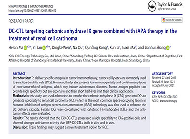 【喜訊】齊魯細胞馬賀然博士團隊DC-CTL相關的研究成果發表于國際著名SCI期刊 【喜訊】齊魯細胞馬賀然博士團隊DC-CTL相關的研究成果發表于國際著名SCI期刊