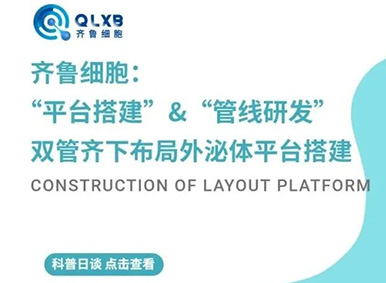 科普日談丨齊魯細(xì)胞:“平臺(tái)搭建”&“管線研發(fā)”雙管齊下,布局外泌體平臺(tái)搭建 科普日談丨齊魯細(xì)胞:“平臺(tái)搭建”&“管線研發(fā)”雙管齊下,布局外泌體平臺(tái)搭建