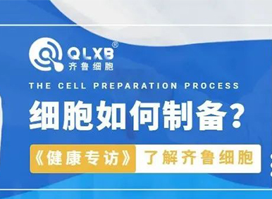 健康專訪丨帶你了解齊魯細胞的細胞制備過程