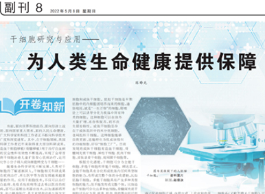 人民日報(bào)刊載中科院陳曄光院士文章:《干細(xì)胞研究與應(yīng)用—為人類生命健康提供保障》 人民日報(bào)刊載中科院陳曄光院士文章:《干細(xì)胞研究與應(yīng)用—為人類生命健康提供保障》
