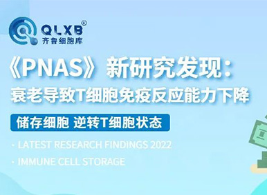 為什么要凍存免疫細胞？《PNAS》新研究發現：衰老導致T細胞免疫反應能力下降