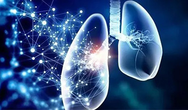 臨床前瞻丨Stem Cell Research & Therapy:“間充質干細胞-造血干細胞移植后肺炎治療新策略” 臨床前瞻丨Stem Cell Research & Therapy:“間充質干細胞-造血干細胞移植后肺炎治療新策略”