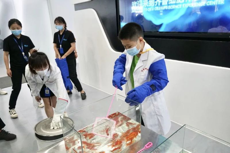 儲存細胞 儲存細胞