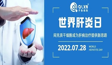 7·28世界肝炎日丨從肝炎到肝硬化，間充質干細胞或將為肝病治療提供新思路