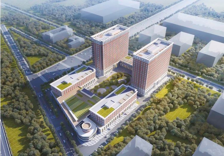 免疫細胞存儲 免疫細胞存儲