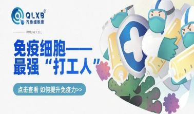 同為“打工人”,免疫細胞也會精疲力盡,別等身體出現問題才想辦法拯救它們! 同為“打工人”,免疫細胞也會精疲力盡,別等身體出現問題才想辦法拯救它們!