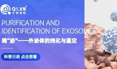 科普日談丨揭“泌”——外泌體的純化與鑒定