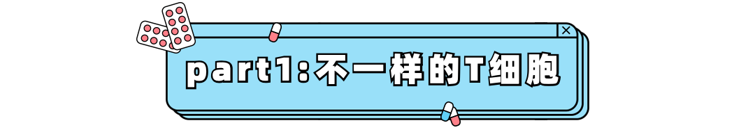 儲存免疫細胞 儲存免疫細胞