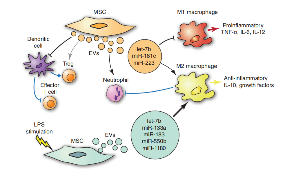 細胞儲存 細胞儲存