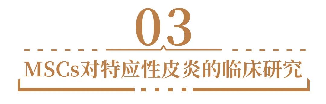 間充質干細胞 間充質干細胞