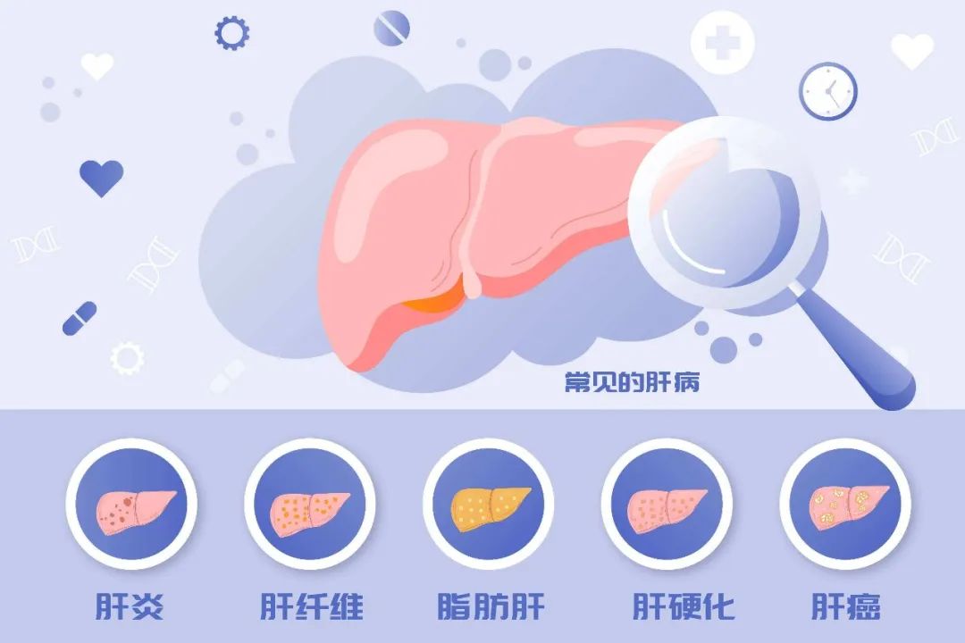 成人脂肪干細胞存儲 成人脂肪干細胞存儲