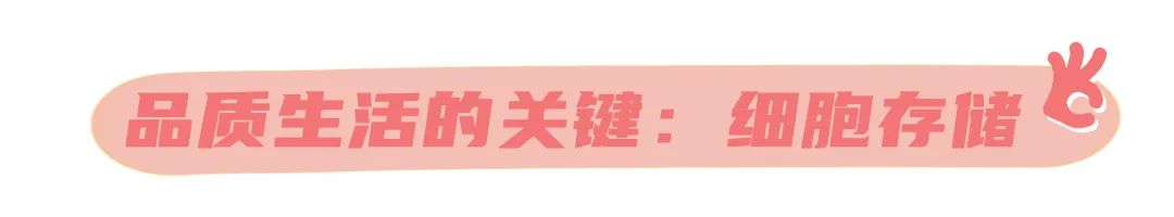 免疫細(xì)胞儲存 免疫細(xì)胞儲存