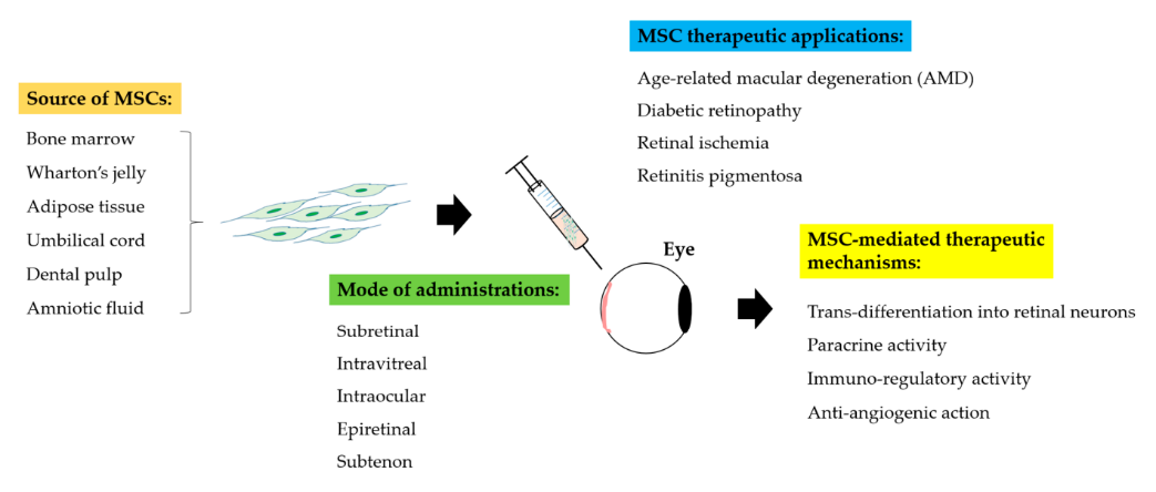 免疫細胞儲存 免疫細胞儲存