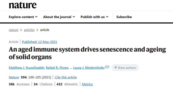 免疫細(xì)胞儲(chǔ)存