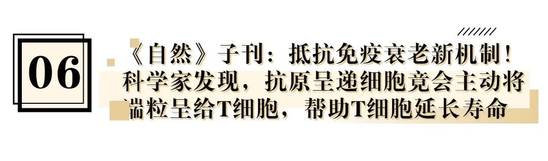 干細胞存儲 干細胞存儲