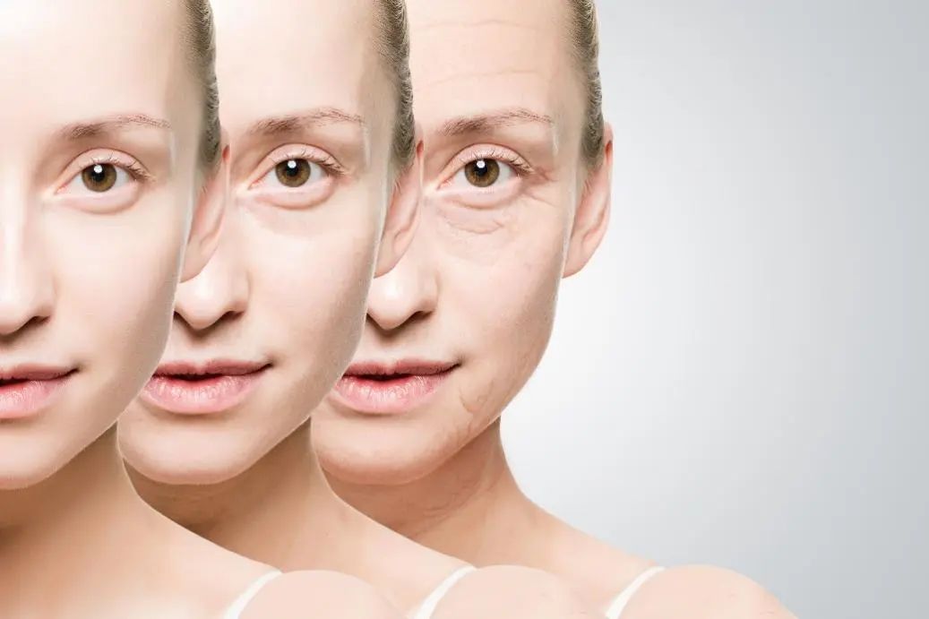 抗衰老護膚品 抗衰老護膚品