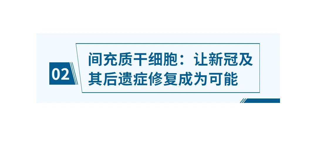 干細胞儲存 干細胞儲存