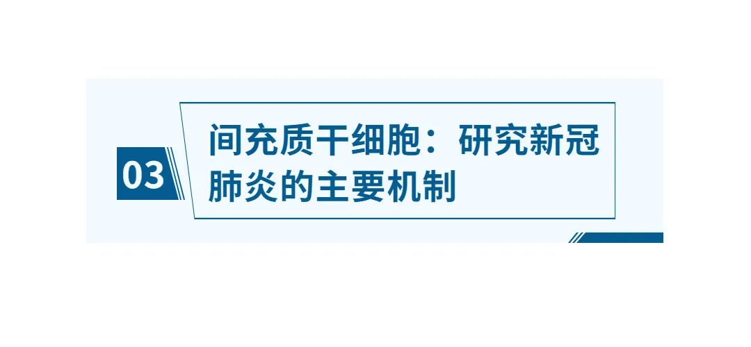 干細胞存儲 干細胞存儲