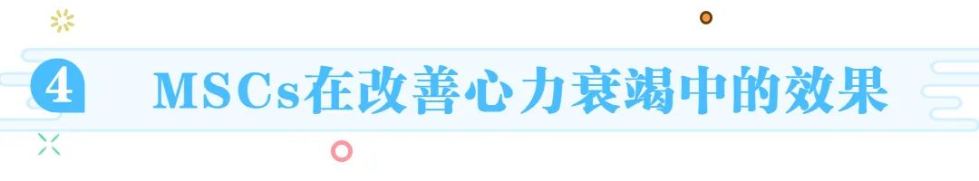 脂肪干細胞儲存 脂肪干細胞儲存