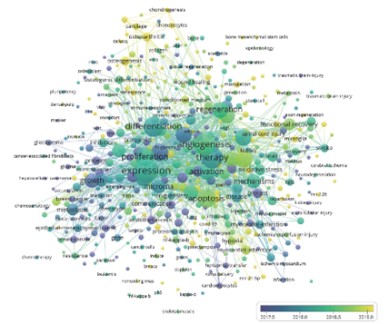 細(xì)胞儲(chǔ)存 細(xì)胞儲(chǔ)存