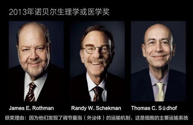 細(xì)胞儲(chǔ)存 細(xì)胞儲(chǔ)存