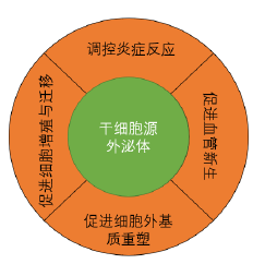 干細胞存儲 干細胞存儲