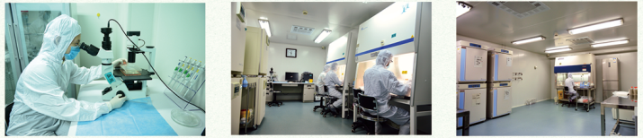 干細胞存儲 干細胞存儲