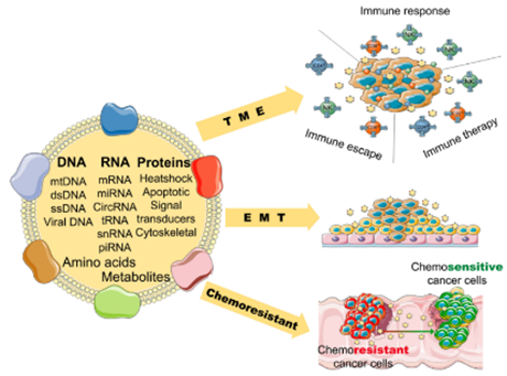 細(xì)胞儲(chǔ)存 細(xì)胞儲(chǔ)存