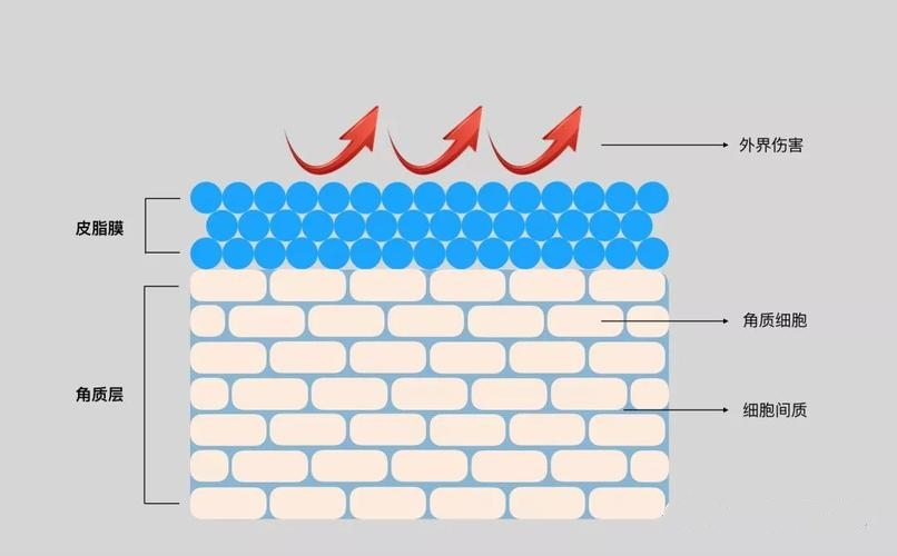 外泌體護(hù)膚品 外泌體護(hù)膚品