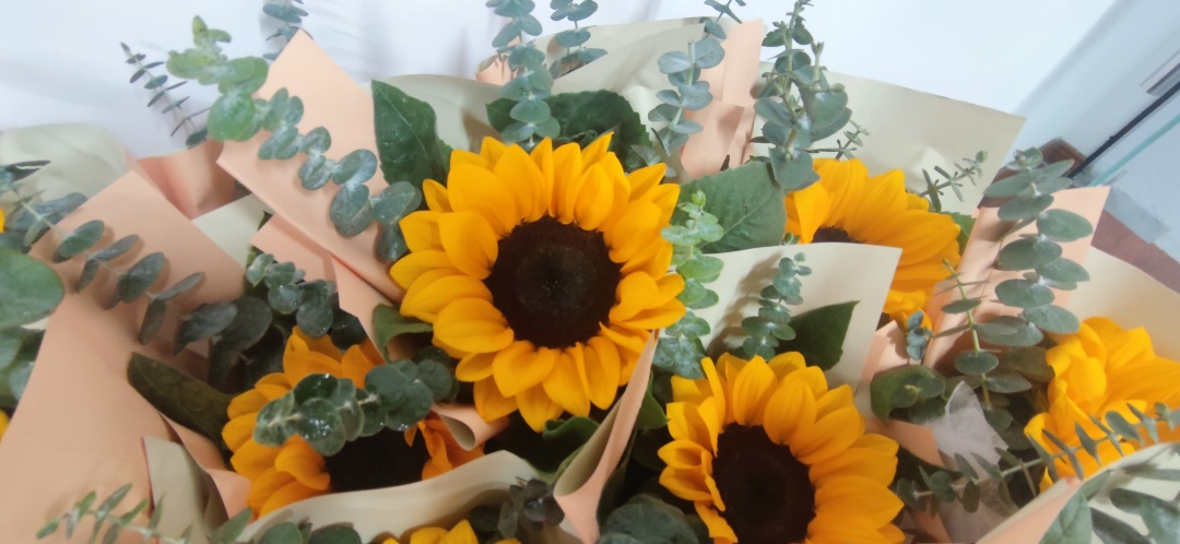 齊魯細胞 齊魯細胞