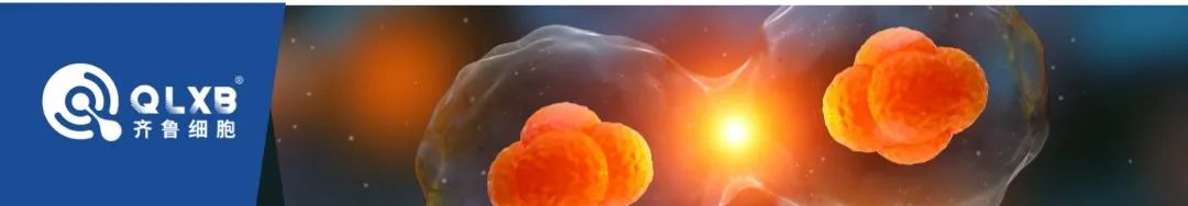 存儲免疫細胞 存儲免疫細胞