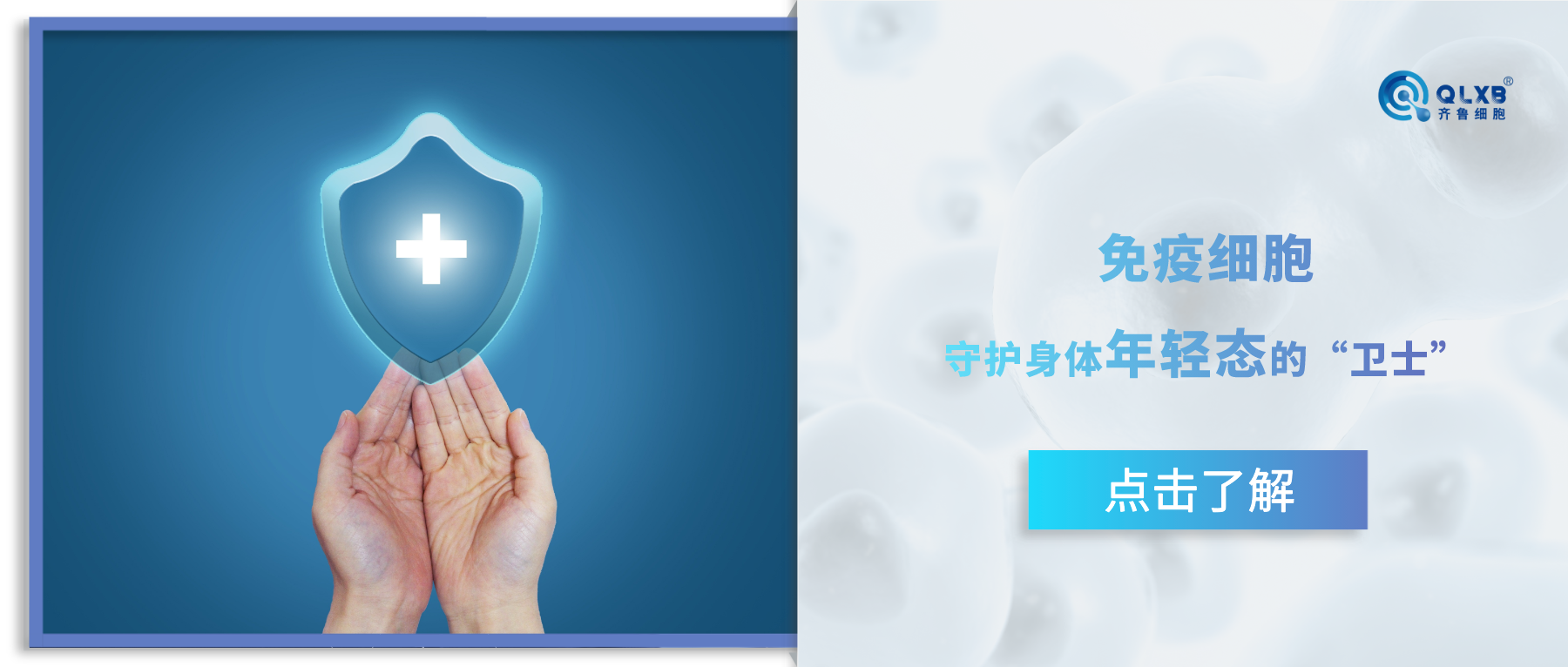 免疫細(xì)胞,守護(hù)身體年輕態(tài)的“衛(wèi)士” 免疫細(xì)胞,守護(hù)身體年輕態(tài)的“衛(wèi)士”