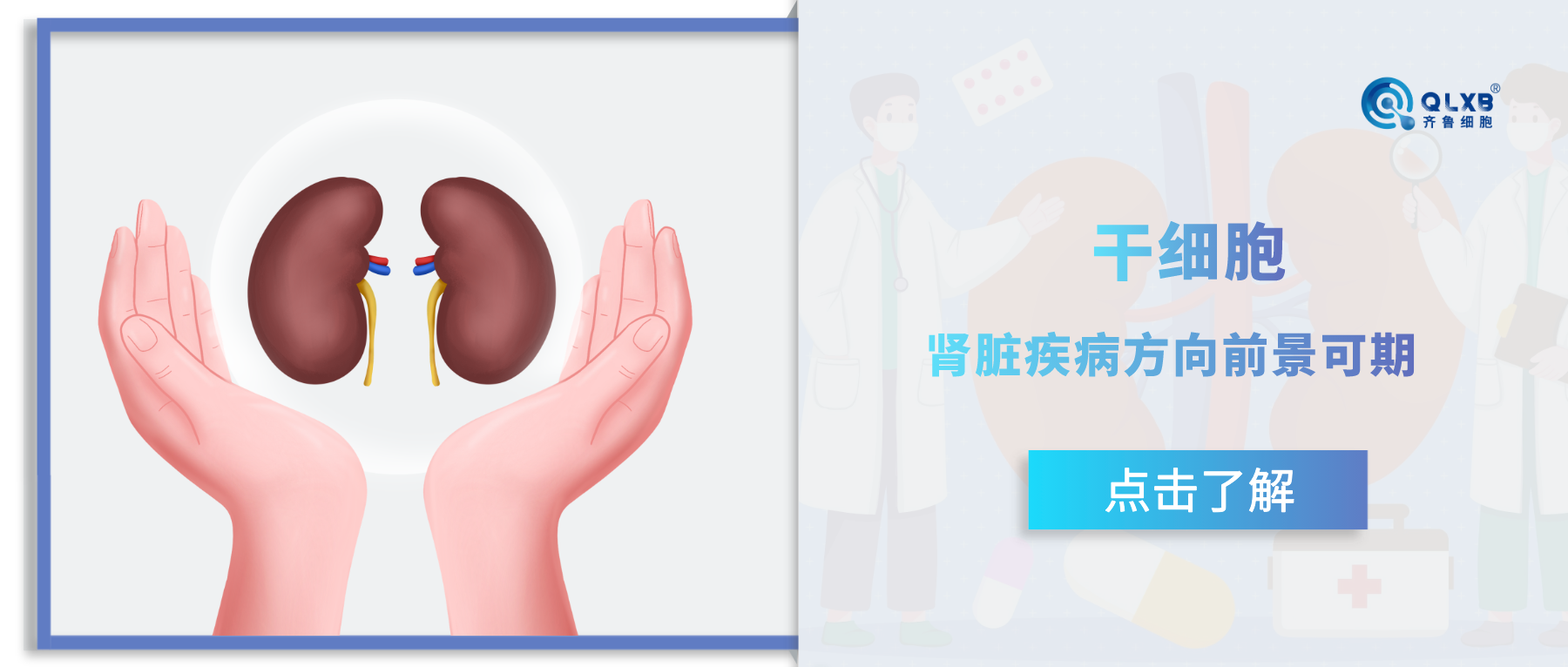 前景可期!綜述指出干細(xì)胞在腎臟疾病方向的巨大潛力 前景可期!綜述指出干細(xì)胞在腎臟疾病方向的巨大潛力